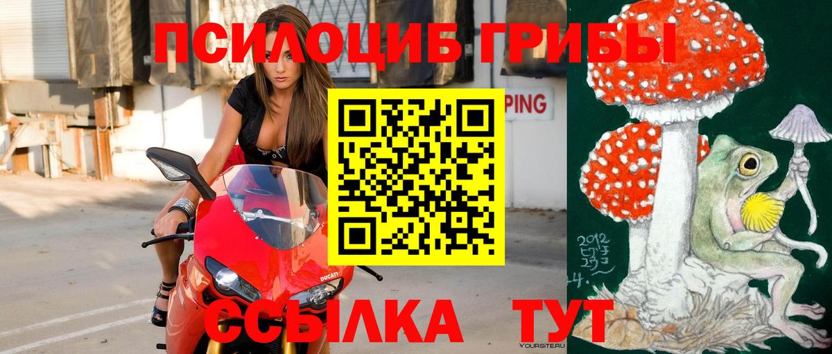 Галлюциногенные грибы прущие грибы Черняховск
