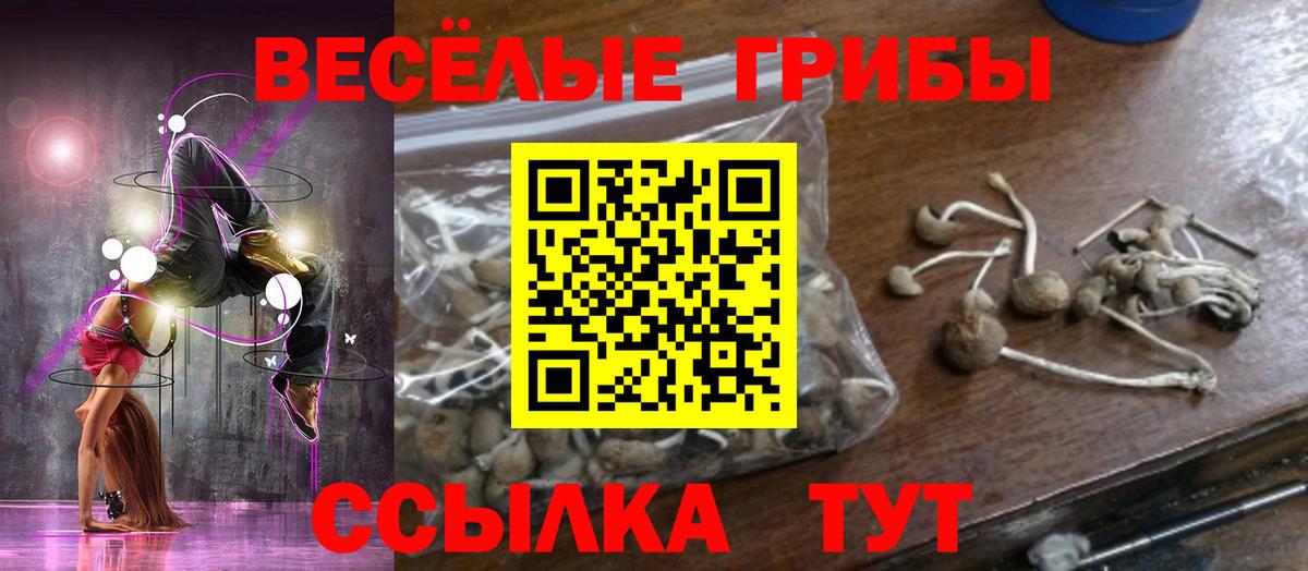 Псилоцибиновые грибы MAGIC MUSHROOMS  Вход с VPN  Черняховск  Галлюциногенные грибы MAGIC MUSHROOMS 
